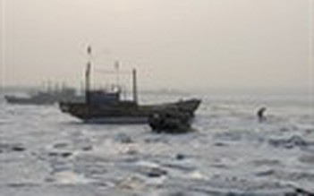 Triều Tiên bán cho Trung Quốc quyền đánh cá trên biển... Hàn Quốc